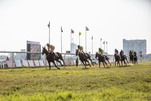 Popular Horse Racing Betting Apps in Chhattisgarh: Complete 2026 Guide for Indian Players